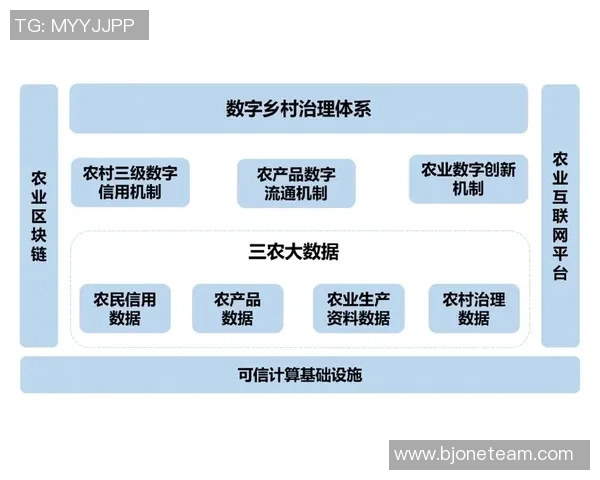 深圳篮球队与武汉篮球队赛后复盘分析意识碰撞与战术执行的深度探讨 深圳篮球队与武汉篮球队赛后复盘分析意识碰撞与战术执行的深度探讨